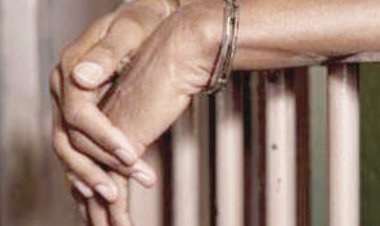 RAILWAY SLEEPERS THIEVES GET 18 MONTHS